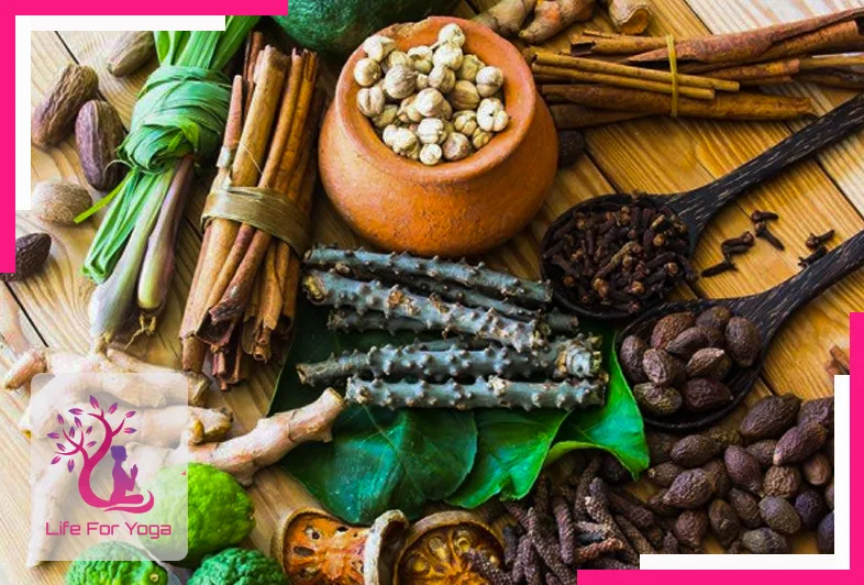 Is Ayurvedic Knowledge and Ayurveda is beneficial in modern life?